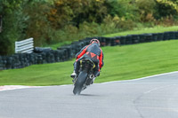 Advanced Group Multicolour Bikes